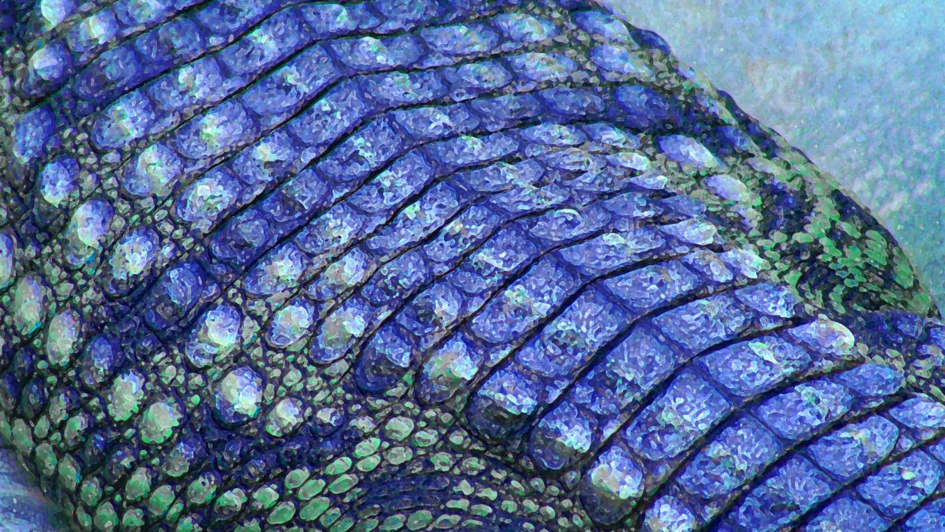 Hybrid-Kunst Fotografie, Grafikdesign und Acrylfarbe in Spachteltechnik