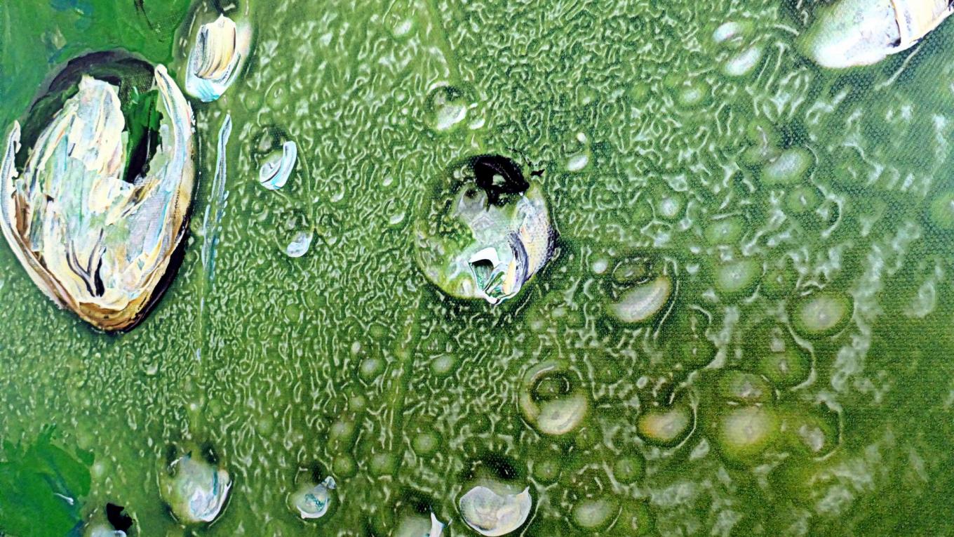 Hybrid-Kunst Fotografie, Grafikdesign und Acrylfarbe in Spachteltechnik
